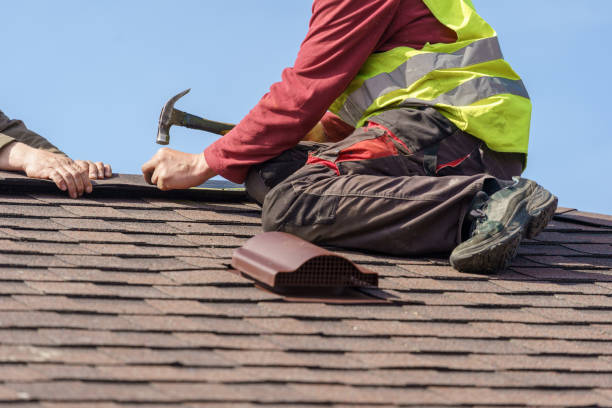 Best Roof Gutter Cleaning  in Quinnesec, MI