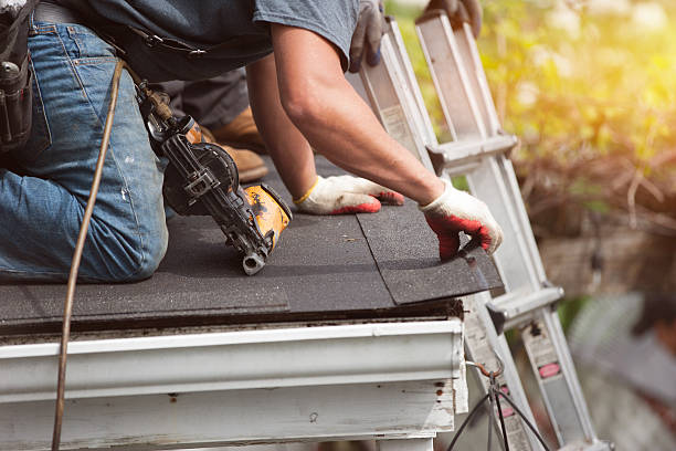 Best Roof Repair Services  in Quinnesec, MI